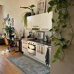 Wlokno - Sloneczny Loft U Scheiblera
