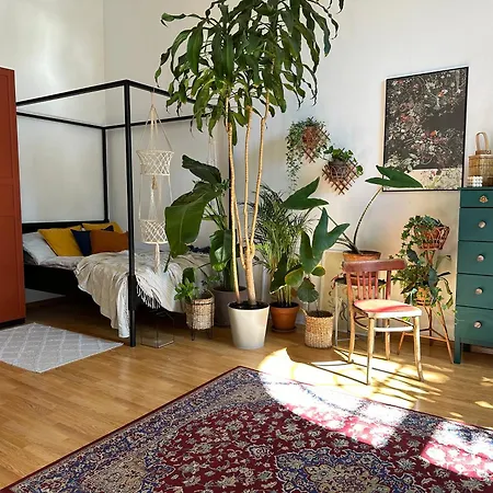 Wlokno - Sloneczny Loft U Scheiblera *