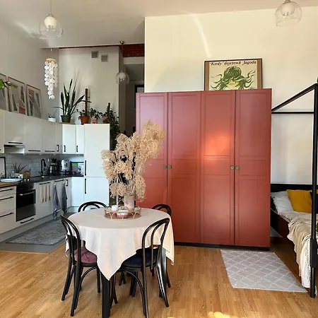 Wlokno - Sloneczny Loft U Scheiblera