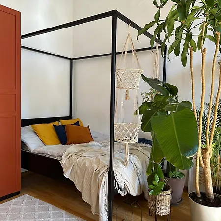 Wlokno - Sloneczny Loft U Scheiblera