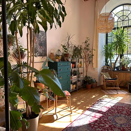 Wlokno - Sloneczny Loft U Scheiblera Apartment *