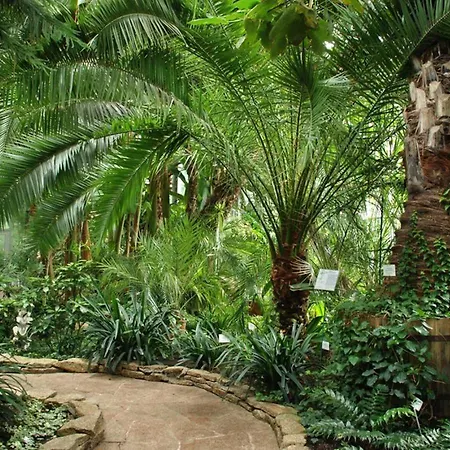 Wlokno - Sloneczny Loft U Scheiblera Apartmán *