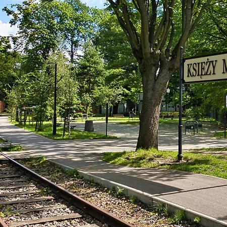 Wlokno - Sloneczny Loft U Scheiblera Apartment *