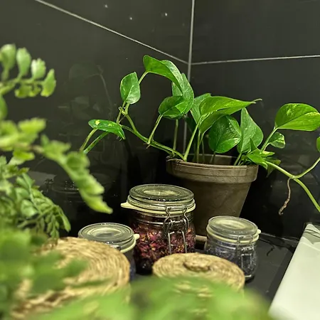 Wlokno - Sloneczny Loft U Scheiblera Apartmán Lodž