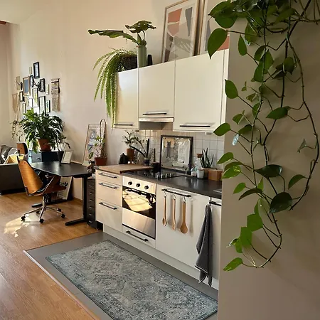 Wlokno - Sloneczny Loft U Scheiblera