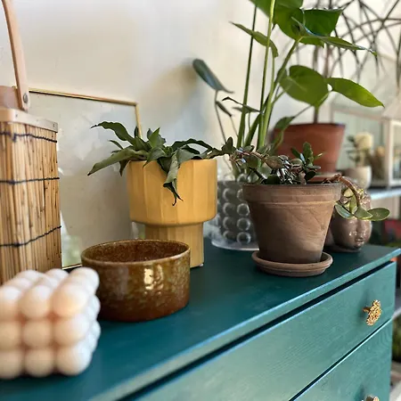 Włókno - Słoneczny Loft U Scheiblera Apartament *