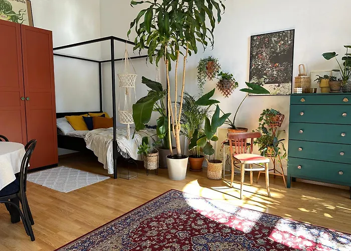 Wlokno - Sloneczny Loft U Scheiblera *