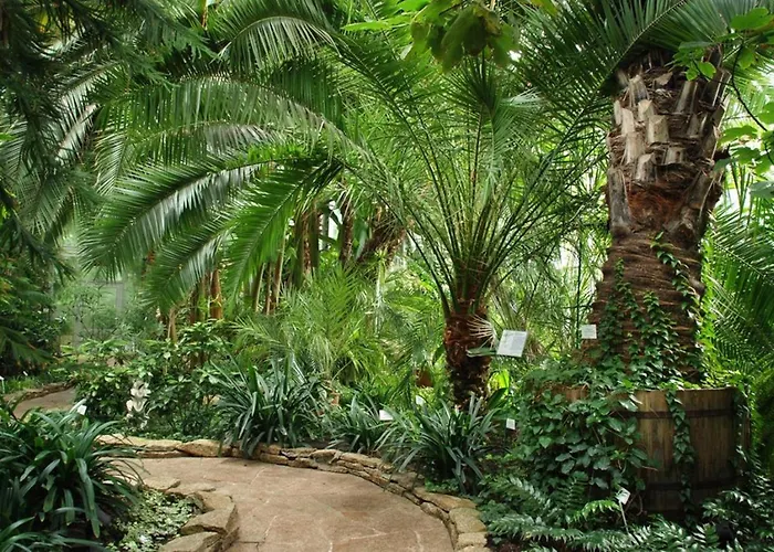 Wlokno - Sloneczny Loft U Scheiblera Διαμέρισμα *