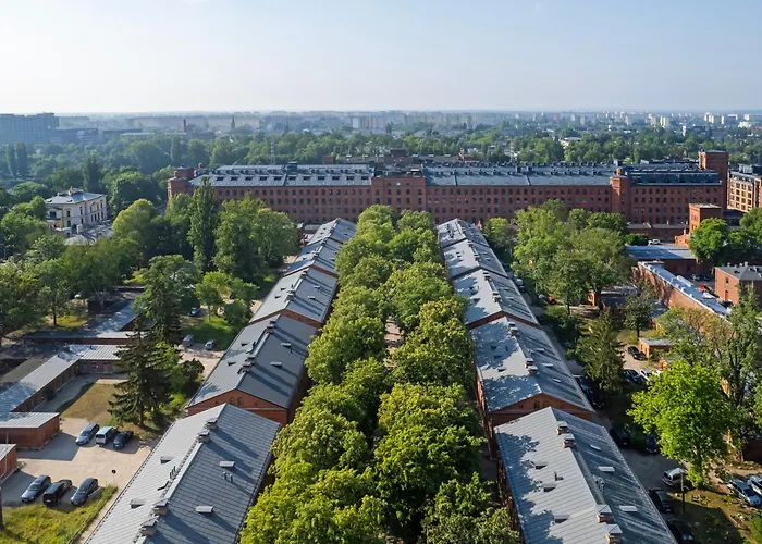 Wlokno - Sloneczny Loft U Scheiblera