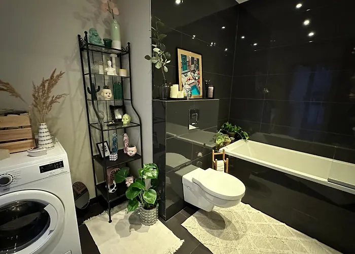 Wlokno - Sloneczny Loft U Scheiblera