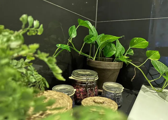 Wlokno - Sloneczny Loft U Scheiblera Διαμέρισμα Λοτζ