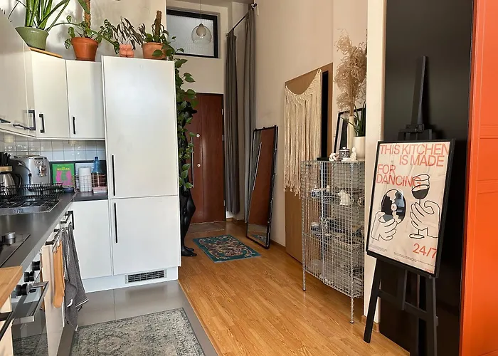 Wlokno - Sloneczny Loft U Scheiblera